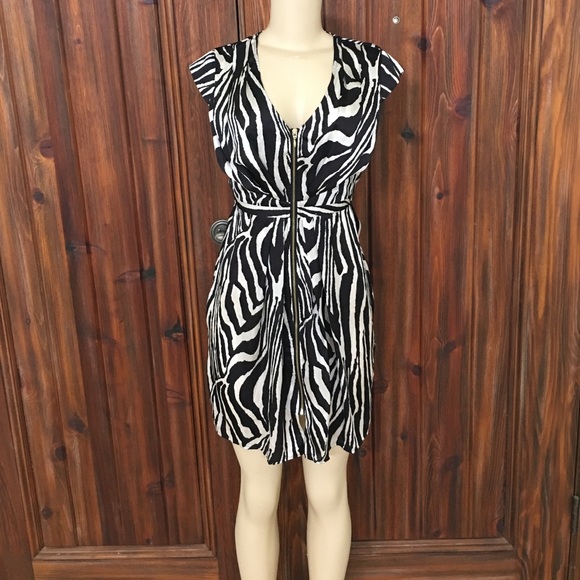 h and m zebra dress